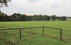 CR 3711, Athens, TX 75752