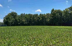 Oven Bottom Road, Nichols, SC 29581