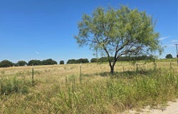 956 Cr-1990, Chico, TX 76431