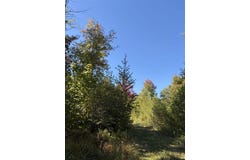 Leland Farm Road lot: D, Middlesex, VT 05602