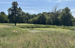 County Road 534, Ellington, MO 63638