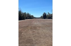Ancient Oaks Dr, Steinhatchee, FL 32359