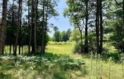 9638 8 Mile Road, Kaleva, MI 49645