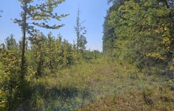 River Bend Road, Columbia, MS 39429