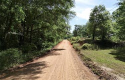 BLUEBERRY ROAD, SEALE, AL 36875