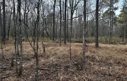 1.58AC General Thomas Highway, Newsoms, VA 23874