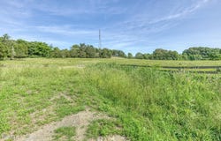 Treadway Trail, Telford, TN 37690