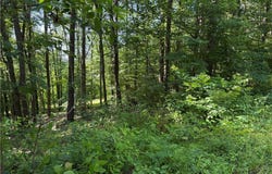 Fisher Ridge Rd, Tract 6, Fleming, OH 45729