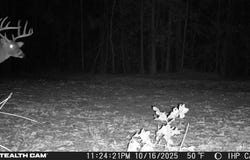 Alton Rd, Eagle Springs, NC 27242