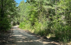 PARCEL#41620 CR 4720, Kennard, TX 75847
