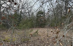 2495 E 74 Highway, Marshall, AR 72650