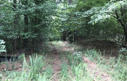 Moores Gin Road, Fairmount, GA 30139