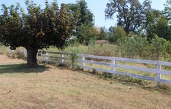 404 Cedar Street, Marshall, AR 72650
