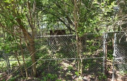4865 320th Avenue, Webb, IA 51366