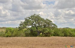 Tract 4 County Road 366, Shiner, TX 77984