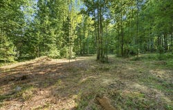 5201 Highway 150, Sequatchie, TN 37374
