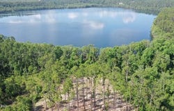 View Drive, Alford, FL 32420