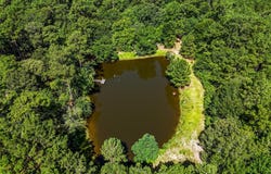 19359 Forest Road 219, Richards, TX 77873