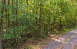 Wildwood Trail, Talking Rock, GA 30175