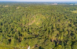 0 Irma White Rd, Marion, KY 42064