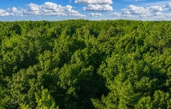 County Road 260, BRUCE, MS 38915