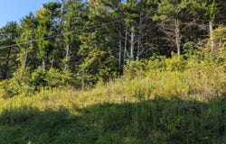 8000 E Upper Dry Fork Rd, Madison, IN 47250