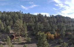1208 San Isabel Dr, Westcliffe, CO 81252