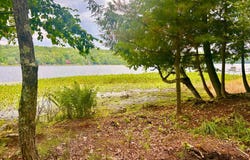 11185 OLD 8 RD, Crandon, WI 54520