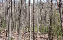380 BARNSTAPLE DRIVE, DANIELS, WV 25832