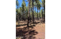 tbd-2 dynamite, Lakeside, AZ 85929