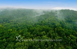 679 Burnems Run Rd, Sandyville, WV 25275