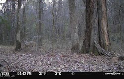 Swamp Road, Carthage, MS 39051