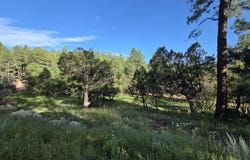 1248 S RUNNING ELK Road, Payson, AZ 85541