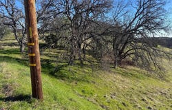 16495 Hillcrest Road, Corning, CA 96021