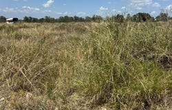 4215 Butterfly, Von Ormy, TX 78073