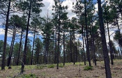 163 GOLETA Cour, Rociada, NM 87742