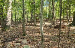 Goldfinch Pl, Mount Pocono, PA 18344