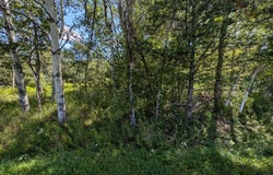 L19.12 South St, Windham, NY 12496