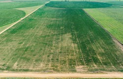 1, Lewis, KS 67552