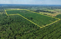 Beechum Lane, Marianna, FL 32448
