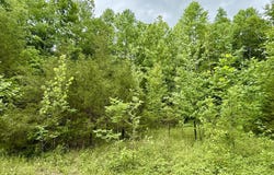 1200 Owens Branch Road, Dunnville, KY 42528