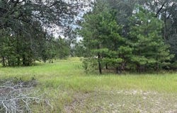 10532 Stillmore Highway, Metter, GA 30439