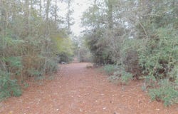 36581 Odom Rd, Dozier, AL 36028