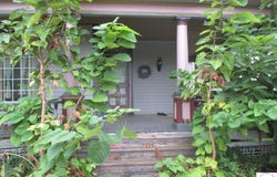 664 S Odell Avenue, Marshall, MO 65340