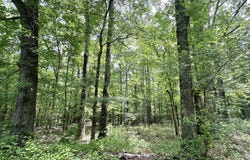 1 Highway 483, Morton, MS 39117