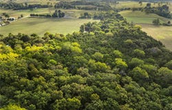 Rally Hill Drive, Valley Springs, AR 72682