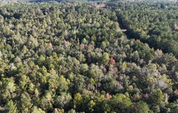 Lee Avenue, Hattiesburg, MS 39401