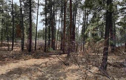 102 E Valley View Drive, Bayfield, CO 81122