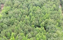 Crouch Road lot: 3, Benton, LA 71006