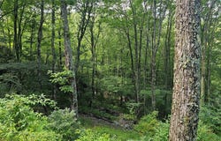 C25 Roaming Road lot: C25, Glenville, NC 28736
